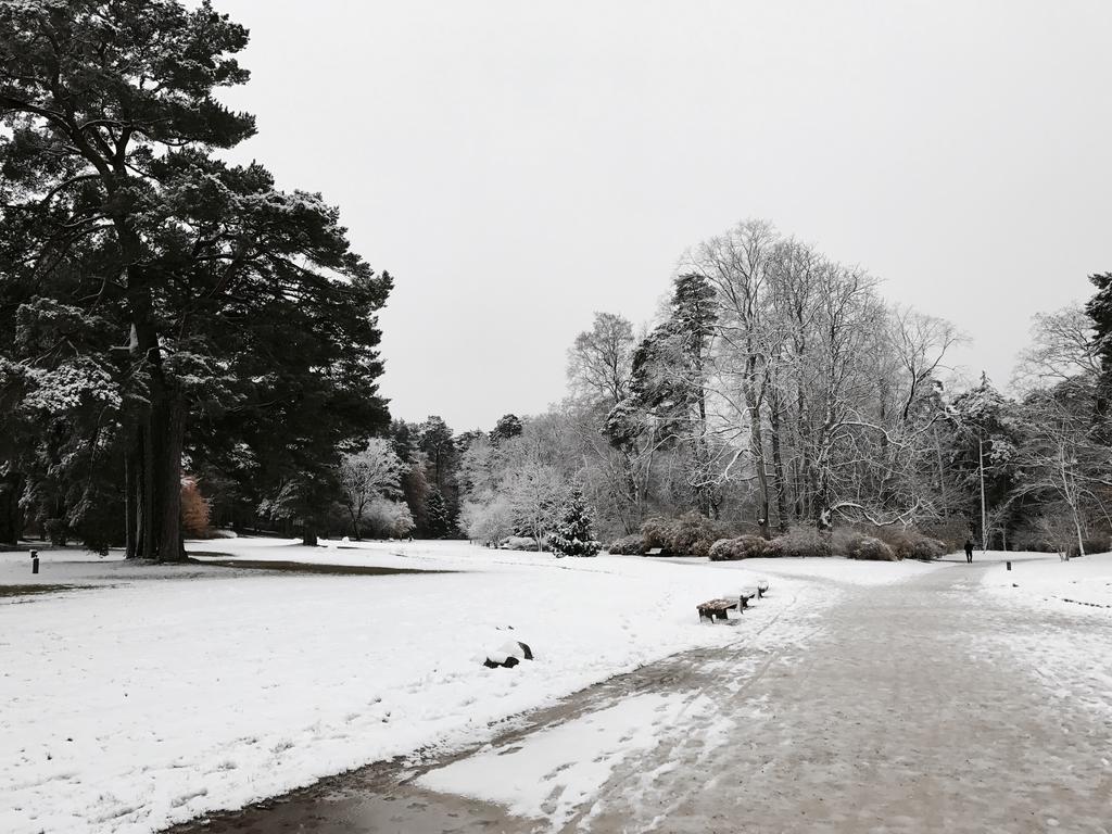 apartamentai Palanga Bagian luar foto